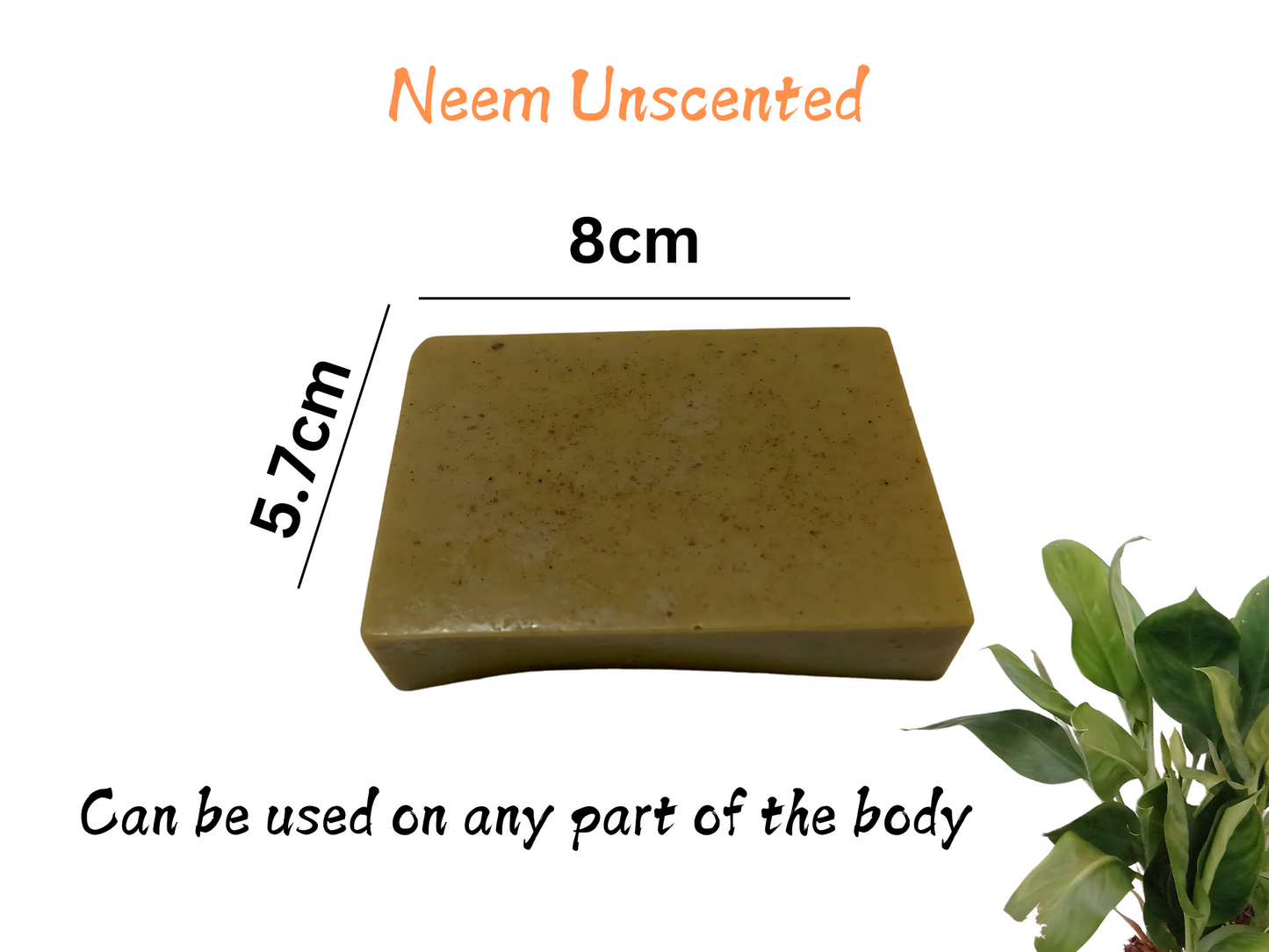 Eve's Handmade Soap